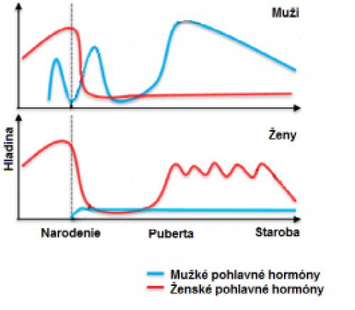 hormony1