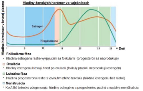 hormony2
